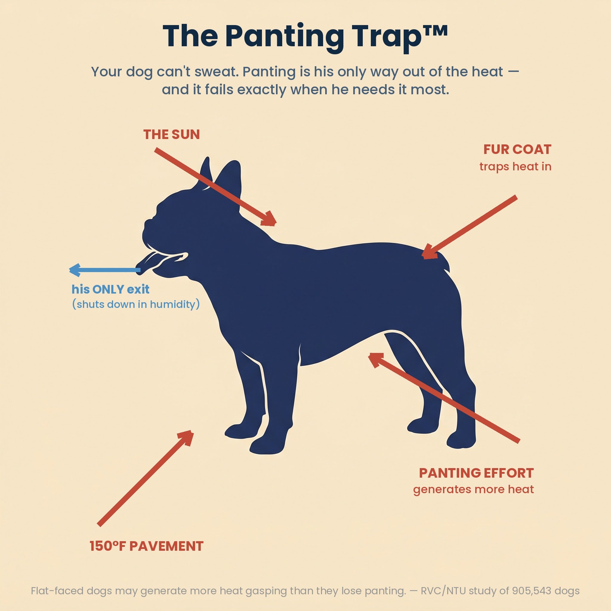 The Panting Trap diagram — dogs can't sweat; panting generates heat, shuts down in humidity
